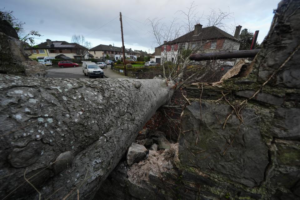 A fallen tree which crashed through the wall of Phoenix Park and on to Blackhorse Avenue in Dublin (Brian Lawless/PA Wire)