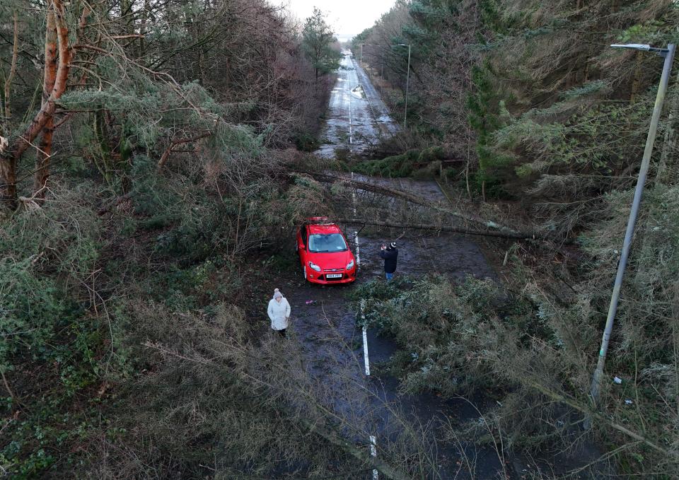 A car sits in Tryst Road in Larbert surrounded by fallen trees (Andrew Milligan/PA Wire)