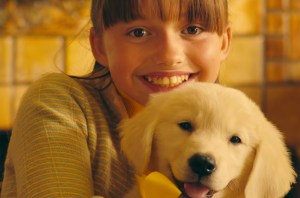 Marshmello Bastille Happier