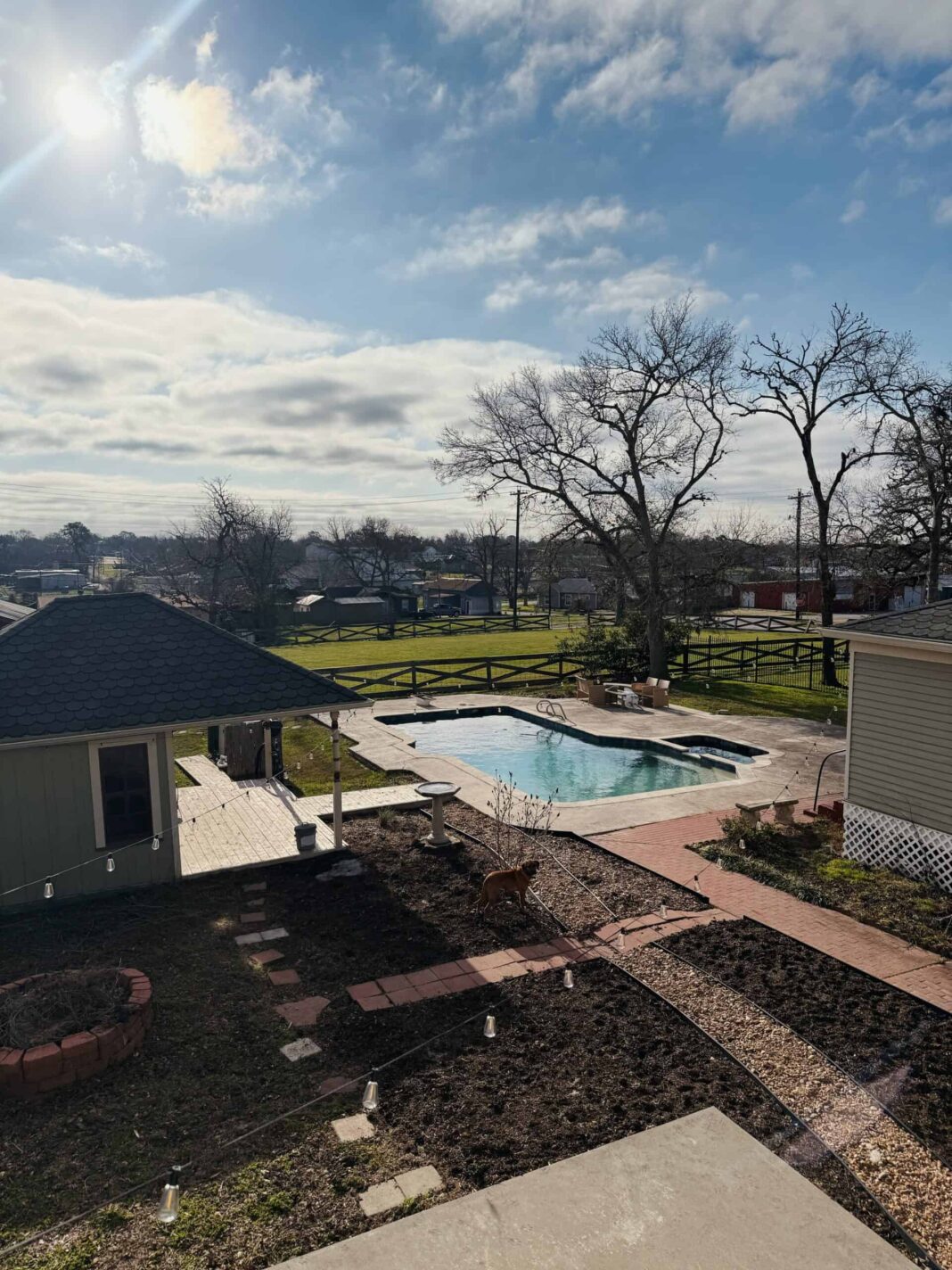 No Use Crying Over A Deep Sea Angler