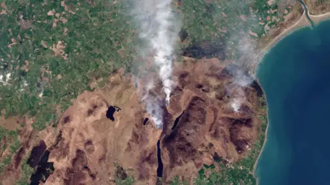 Planet Labs A satellite image shows a large area of brown vegetation at its centre, with some smoke visible. Green, unburned agricultural fields are visible to the north. The coastline and sea can be seen to the east.