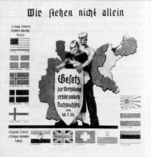 Black-and-white Nazi propaganda poster showing a map of Europe, two figures, and flags of various countries. German text reads "Wir stehen nicht allein" ("We do not stand alone").