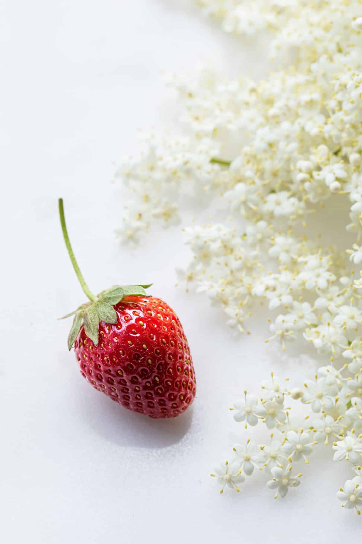 Closeup of a perfect red strawberry alongside a spray of elderflowers on a marble background.
