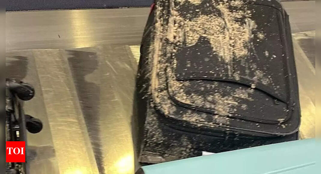 Luggage-covered-in-poop-Virgin-Atlantic-says-it-did-not.jpg