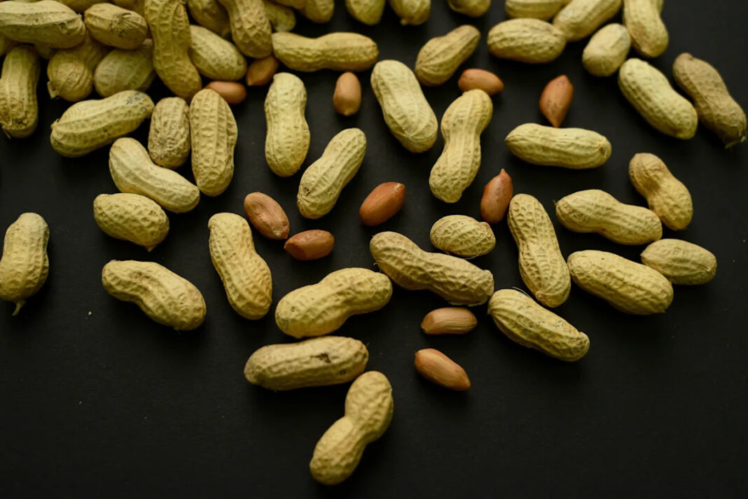 Advice to feed babies peanuts early and often helped 60,000 kids avoid allergies, study finds