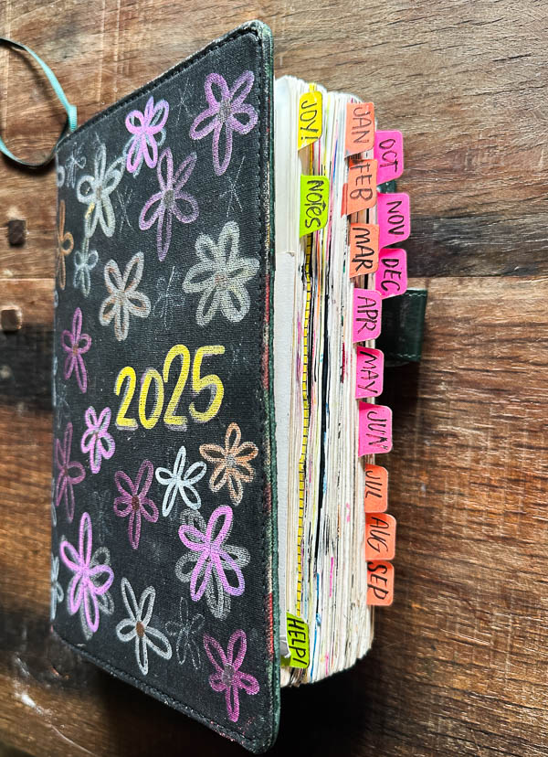 My Everyday Life Week 45 of 2025- Tracy Benjamin of Shutterbean.com