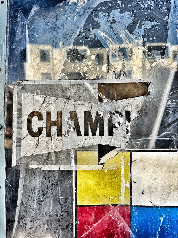 My Everyday Life Week 45 of 2025- Tracy Benjamin of Shutterbean.com