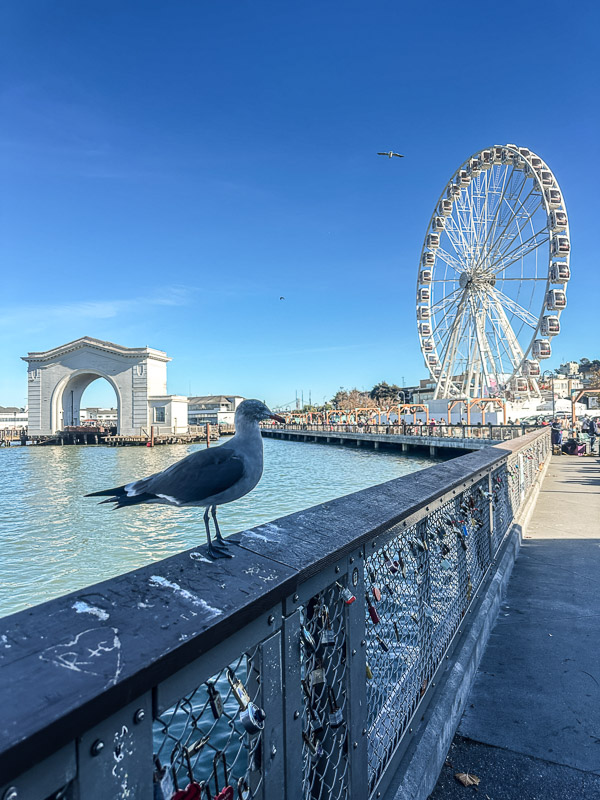 My Everyday Life Week 45 of 2025- Tracy Benjamin of Shutterbean.com