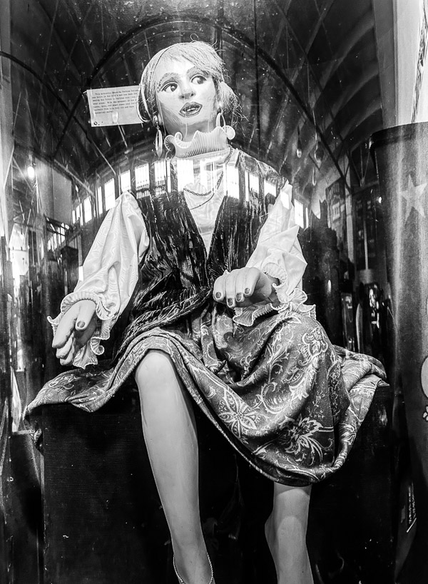 My Everyday Life Week 45 of 2025- Tracy Benjamin of Shutterbean.com