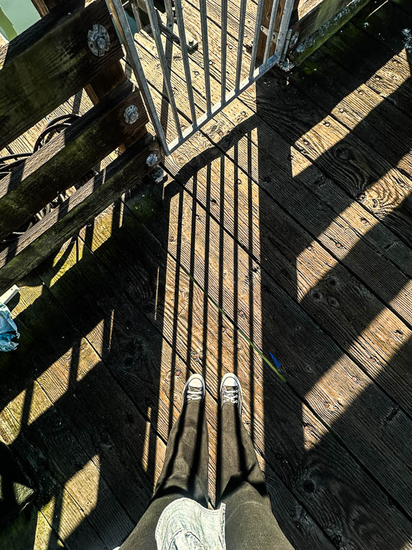 My Everyday Life Week 45 of 2025- Tracy Benjamin of Shutterbean.com