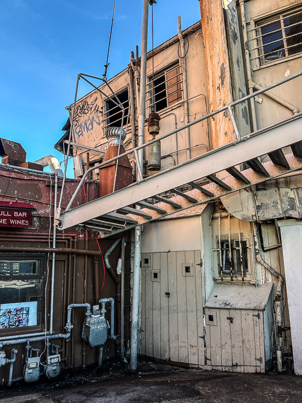 My Everyday Life Week 45 of 2025- Tracy Benjamin of Shutterbean.com