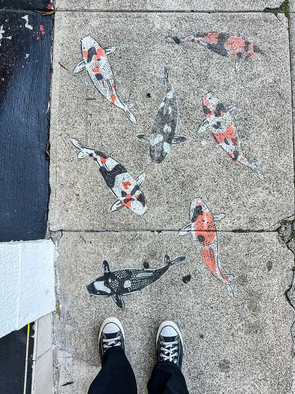 My Everyday Life Week 45 of 2025- Tracy Benjamin of Shutterbean.com