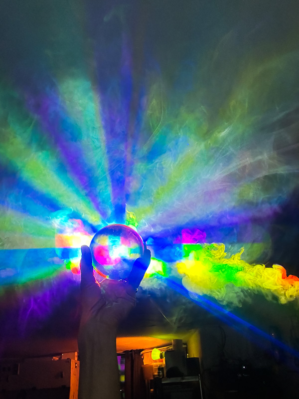 My Everyday Life Week 45 of 2025- Tracy Benjamin of Shutterbean.com