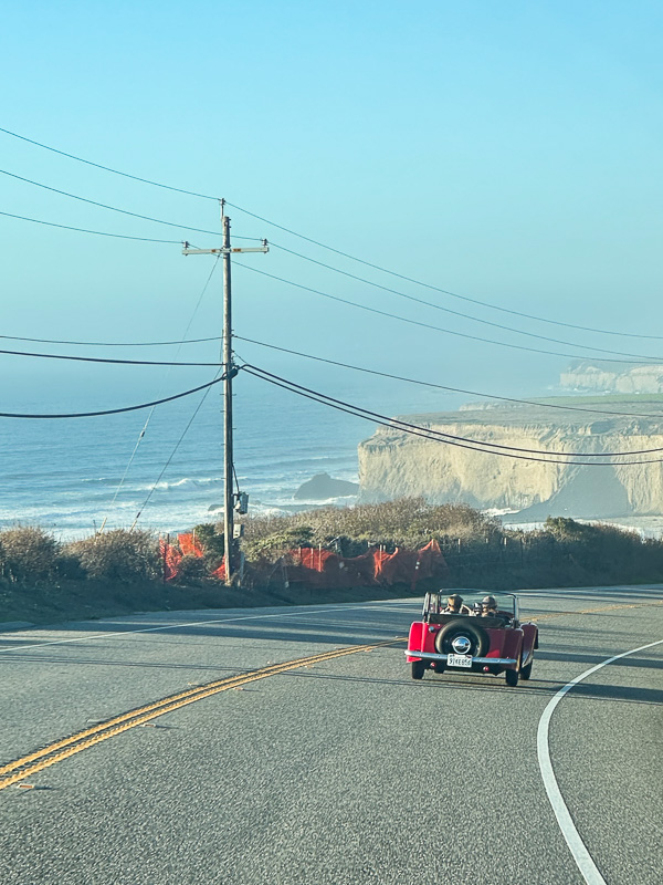 My Everyday Life Week 45 of 2025- Tracy Benjamin of Shutterbean.com