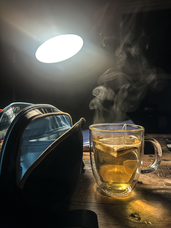 My Everyday Life Week 45 of 2025- Tracy Benjamin of Shutterbean.com