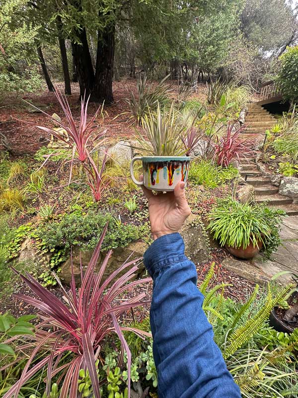 My Everyday Life Week 45 of 2025- Tracy Benjamin of Shutterbean.com